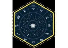 Best Astrologer In USA