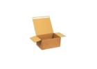 Hassle-Free Shipping with Self Seal Postal Boxes | Packaging Now