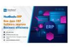 Your Real Estate Business with HostBooks Limited ERP Software