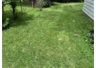  Lawn fertilization services | Pettway Lawn Professionals LLC