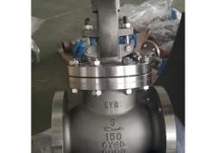 Globe Valve suppliers Saudi Arabia