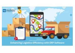 How ERP Software Can Tackle Challenges in the Logistics Sector | HostBooks 