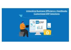 How HostBooks Customized ERP Software Can Simplify Business Operations  