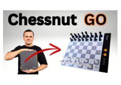 Play Chess Anytime, Anywhere with Chessnut Go!