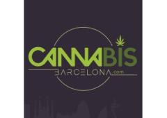 Cannabis Club Barcelona - Cannabis Barcelona