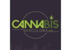 Cannabis Club Barcelona - Cannabis Barcelona