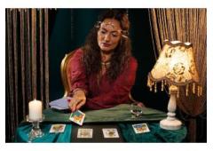 Career Tarot Reading