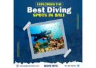 Exploring the Best Diving Spots in Bali