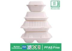 Biodegradable Bagasse Tableware: From Sugarcane to Tableware