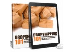 The Basics of Dropshipping