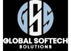 Why Pest Control Companies Trust Global Softech Solutions for Web Design?