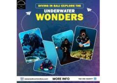 Diving in Bali: Explore the Underwater Wonders