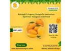 Buy Alphonso Mangoes Online | Ratnagiri Alphonso Mango