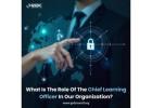 What is the role of the Chief Learning Officer in our Organization?