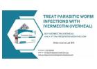 Treat parasitic worm infections with Ivermectin (Iverheal)