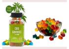 Clarity Bloom CBD Gummies