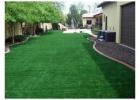 Shop High Quality Artifcial Grass Abu Dhabi