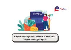 Payroll Management Software: A Smarter Way to Handle Payroll!