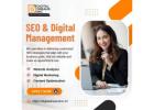 SEO Company in Nagpur