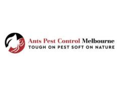 Ant Pest Control Melbourne