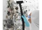 Emergency Mould Cleaning Services Anytime