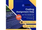 Best Coding Assignment Help