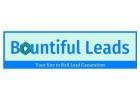 Bountiful Leads - Cold Email Ebook