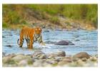 Delhi to Jim Corbett Cab