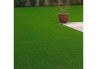 Artificial Grass Carpets Supplier in Dubai – Perfect for Indoor and Outdoor Spaces