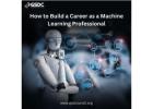 How to Build a Career as a Machine Learning Professional