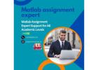 Matlab Assignment Expert Support for All Academic Levels