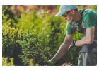 Landscape Gardener Sydney