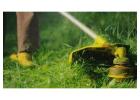  Lawn Mowing Pagewood