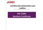 The Role of a Certified ISO 22301:2019 Lead Auditor in Business Continuity Management