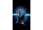  Billionaire Brain Wave is a cutting-edge self-development program 