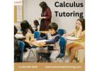 Improve Your Grades with Professional Calculus Tutoring